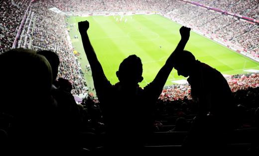 Aldermen can either lobby for or, in many cities, block the construction of large public venues, such as sports stadiums, in their wards.