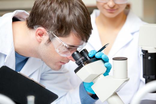 A pathologist assistant examines tissue under a microscope.