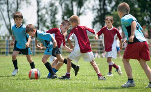 Some equipment managers work for sports leagues or teams.