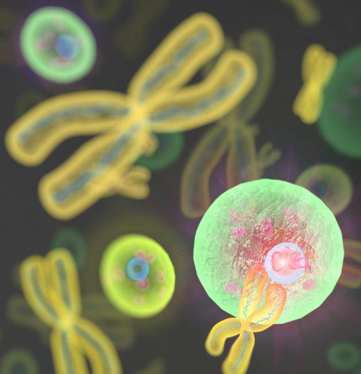 Cytogenetic technologists may analyze the chromosomes in biological specimens to diagnose and treat genetic diseases.