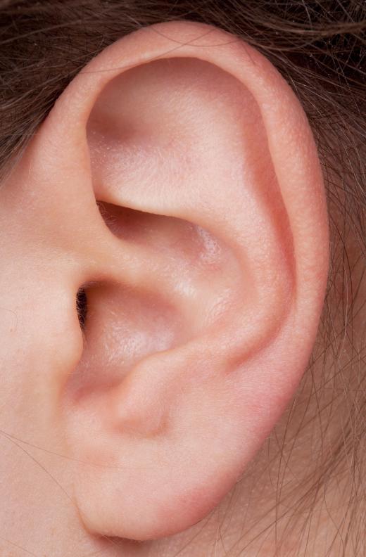 An otologist must understand all aspects of an ear's anatomy.