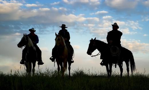 Cowpunches are commonly referred to as cowboys who manage livestock.