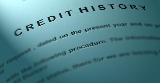 A loan processor is in charge of checking the credit history of potential borrowers.