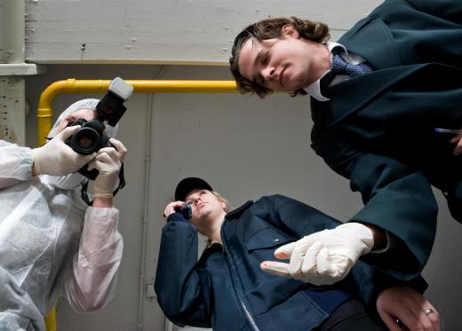 Forensic investigators walk through the crime scene, taking photographs and logging details.