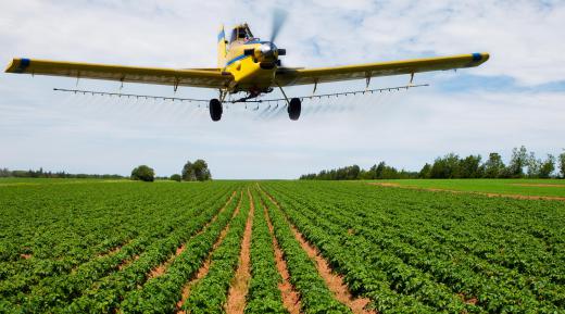 Many rural airports support crop dusting services.