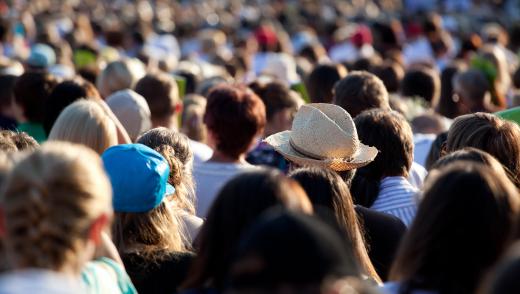 Social psychology may look at different herd mentalities that emerge when dealing with large crowds.