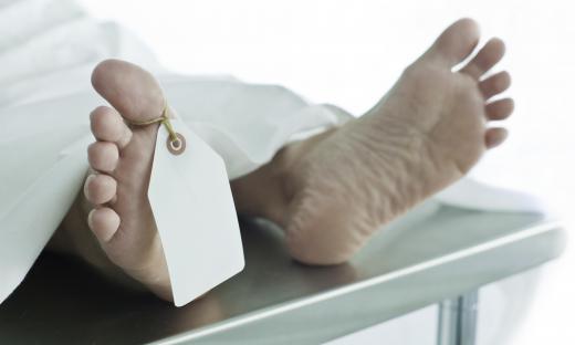 A mortuary technician may assist with autopsies on some occasions.