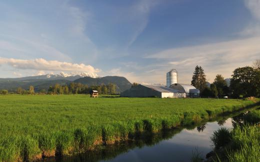 Irrigation design should include research on existing water sources.