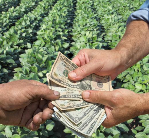 Agricultural economics includes farm subsidy and loan programs.