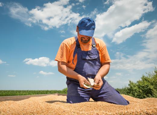 A good crop adviser helps farmers maximize crop yields per acre.