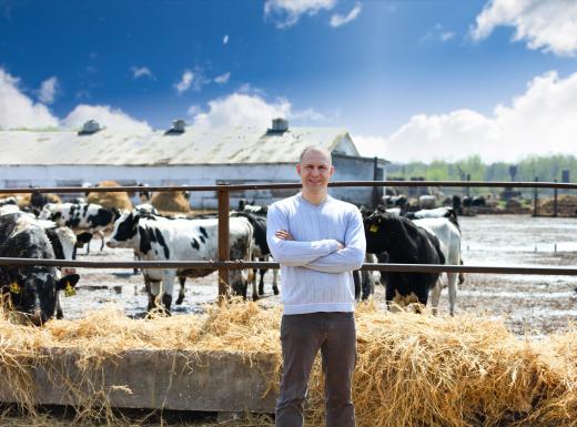 Livestock buyers may visit a farm to inspect animals prior to purchase.