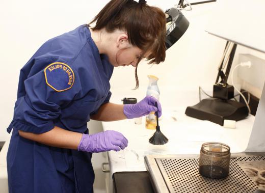 A forensic criminologist may be responsible for collecting fingerprints at a crime scene.