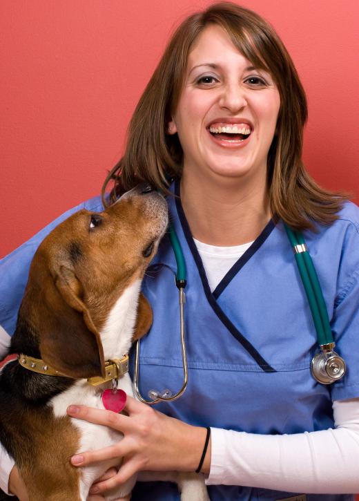 Entry-level jobs in ethology may include work as a veterinary technician.