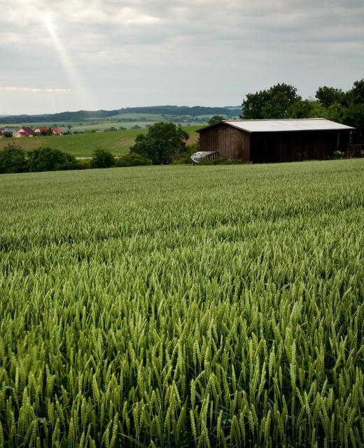 Agriculture is among industries that employ security consultants.