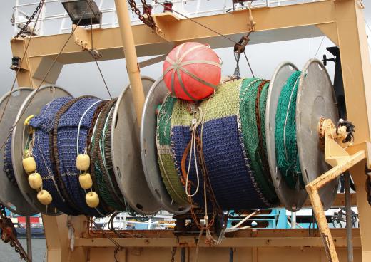 Deckhands are often in charge of using nets or pots to collect marine life.