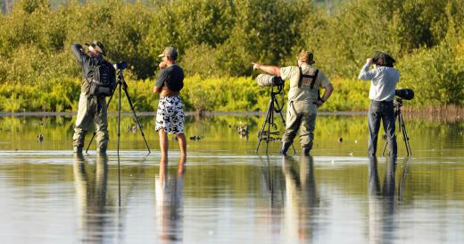 Some tourism courses may focus on niche markets, such as travel packages aimed at nature photographers.