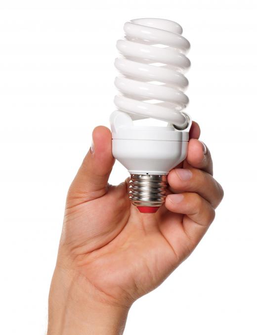 An energy auditor may make suggestions, such as recommending changing light bulbs to more energy efficient bulbs.