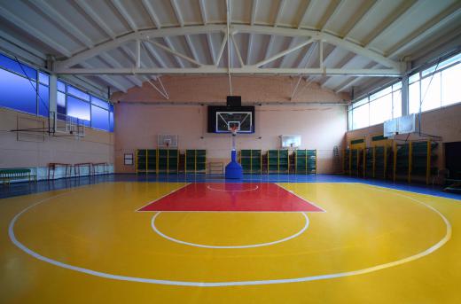 A gymnasium used for physical education overseen a kinesiologist.