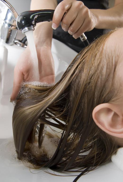 A hairdressing trainee assists certified hair stylists in various duties relating to hair care, grooming and styling.