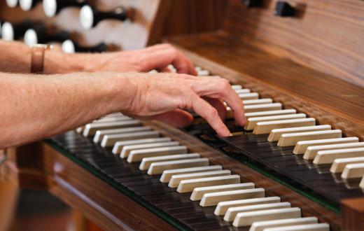 An instrument maker may specialize in making one instrument, like the organ.