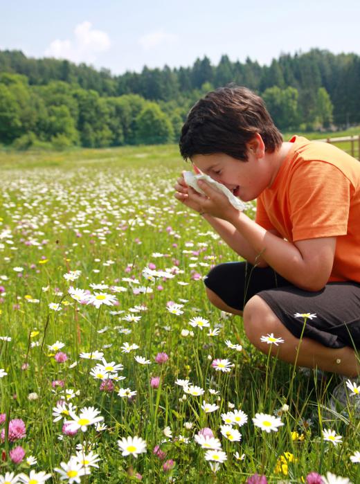 An immunology specialist may diagnose and treat allergies.