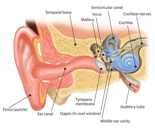 An otologist will deal with any type of inner ear dysfunctions.