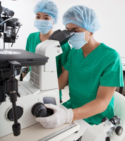 Pathology consultants primarily conduct their work in medical laboratories.