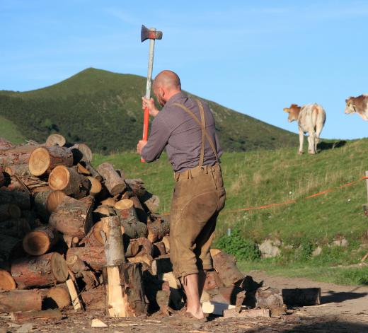 Land conservation is often at odds with the interests of companies or individuals who clear forests for agriculture or other purposes.