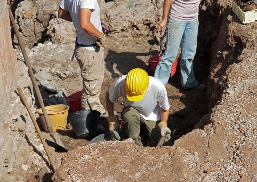 A hydrogeologist studies water movement under the surface of the earth.