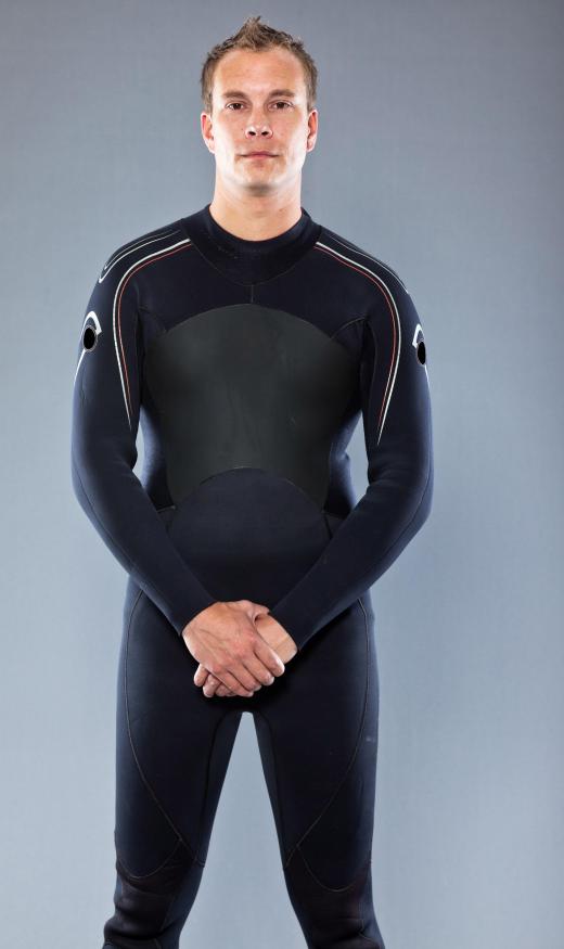 Dolphin trainers frequently wear wet suits on the job.