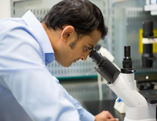 A medical examiner assistant may examine bodily remains in a laboratory setting.