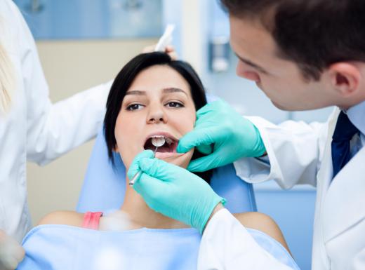 Primary care dentists can only be categorized as generalists.