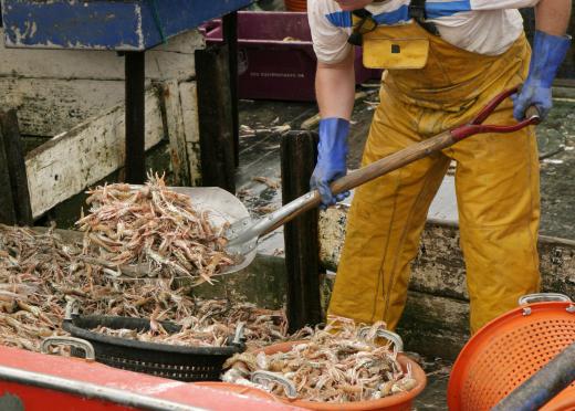 An ordinary seaman may perform manual labor on board a vessel.