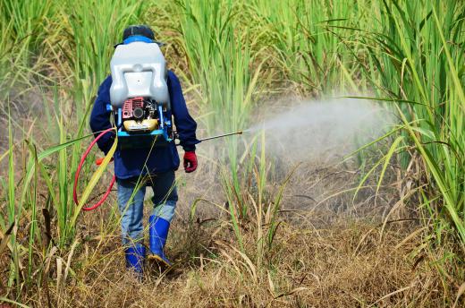 An agriculturist may develop herbicides or pesticides.