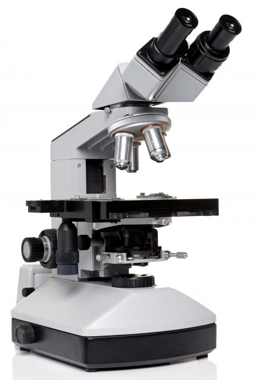 Microbiology technicians often set up and use microscopes to study specimens.