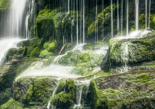 A waterfall on the island of Tasmania, a popular destination for adventure travelers.