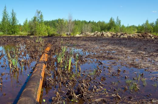 Petroleum geologists may be concerned with ways to reduce oil pollution.