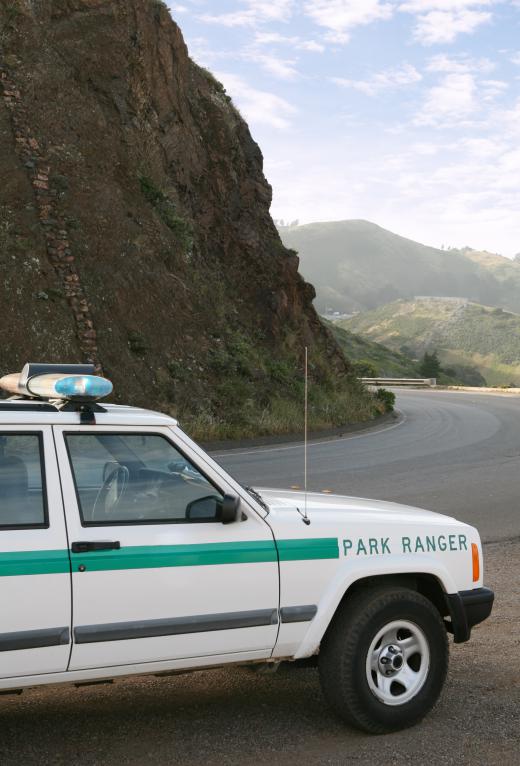 A park supervisor might oversee a small group of park rangers.