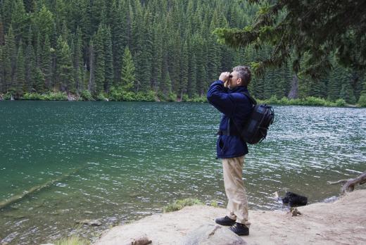 Park rangers keep a watchful eye over wildlife.