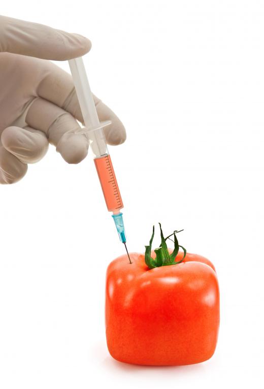 Some biotechnologist work to genetically modify fruits and vegetables.