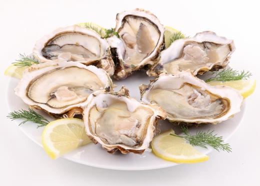 Some shellfish, like oysters, are commonly raised through aquaculture.