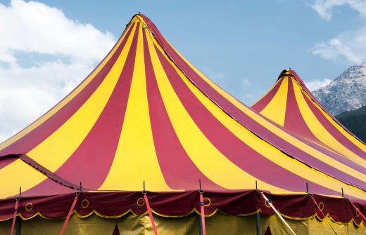 CIrcus performers travel and provide entertainment to wide audiences.