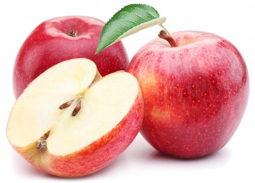 Apple pickers are hired on during late summer to fall.