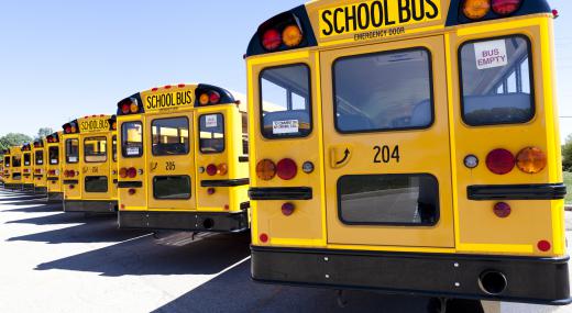 A transportation coordinator may work closely with school bus drivers.