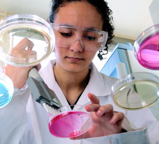 Microbiologists work in a research lab.