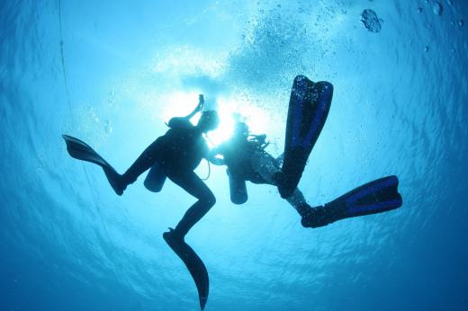 Commercial divers may lead tour groups in underwater excursions or engage in marine construction.