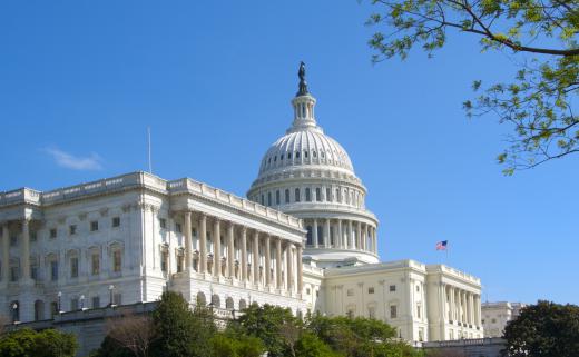 The House and Senate convene in the U.S. Capital building.