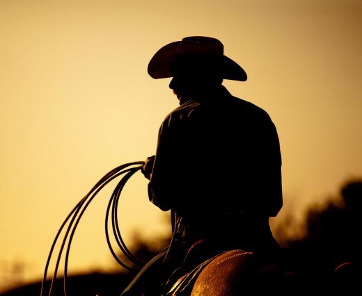 A rancher is responsible for managing a large facility dedicated to the production of livestock for milk or meat.