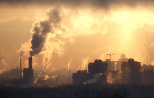 Environmental accountants analyze financial data relating to pollution.