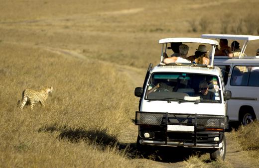 People on a safari, a type of specialist tour.